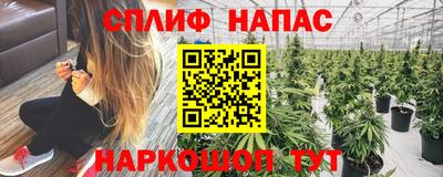стафф Заводоуковск