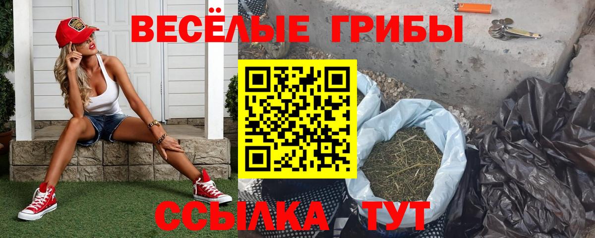 Псилоцибиновые грибы Psilocybine cubensis Кимры