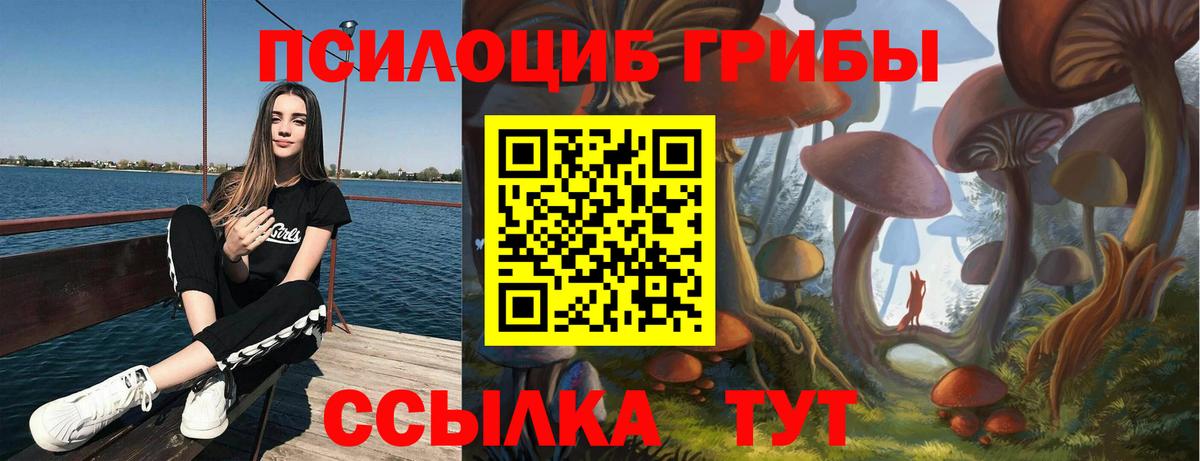 Галлюциногенные грибы мицелий  Галлюциногенные грибы Psilocybine cubensis  продажа наркотиков  Кимры  Вход с VPN 